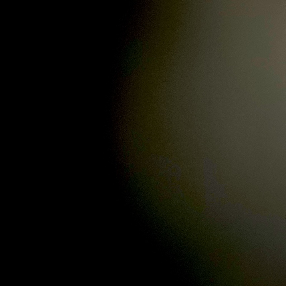 Meet your Posher, Dalia